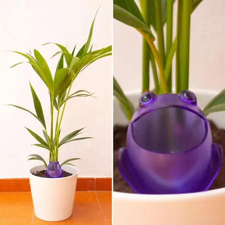 Playa Marisma La Penita