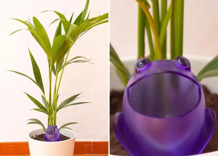 Playa Marisma La Penita